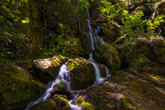 The 1000 Drips in the Great Smokies
