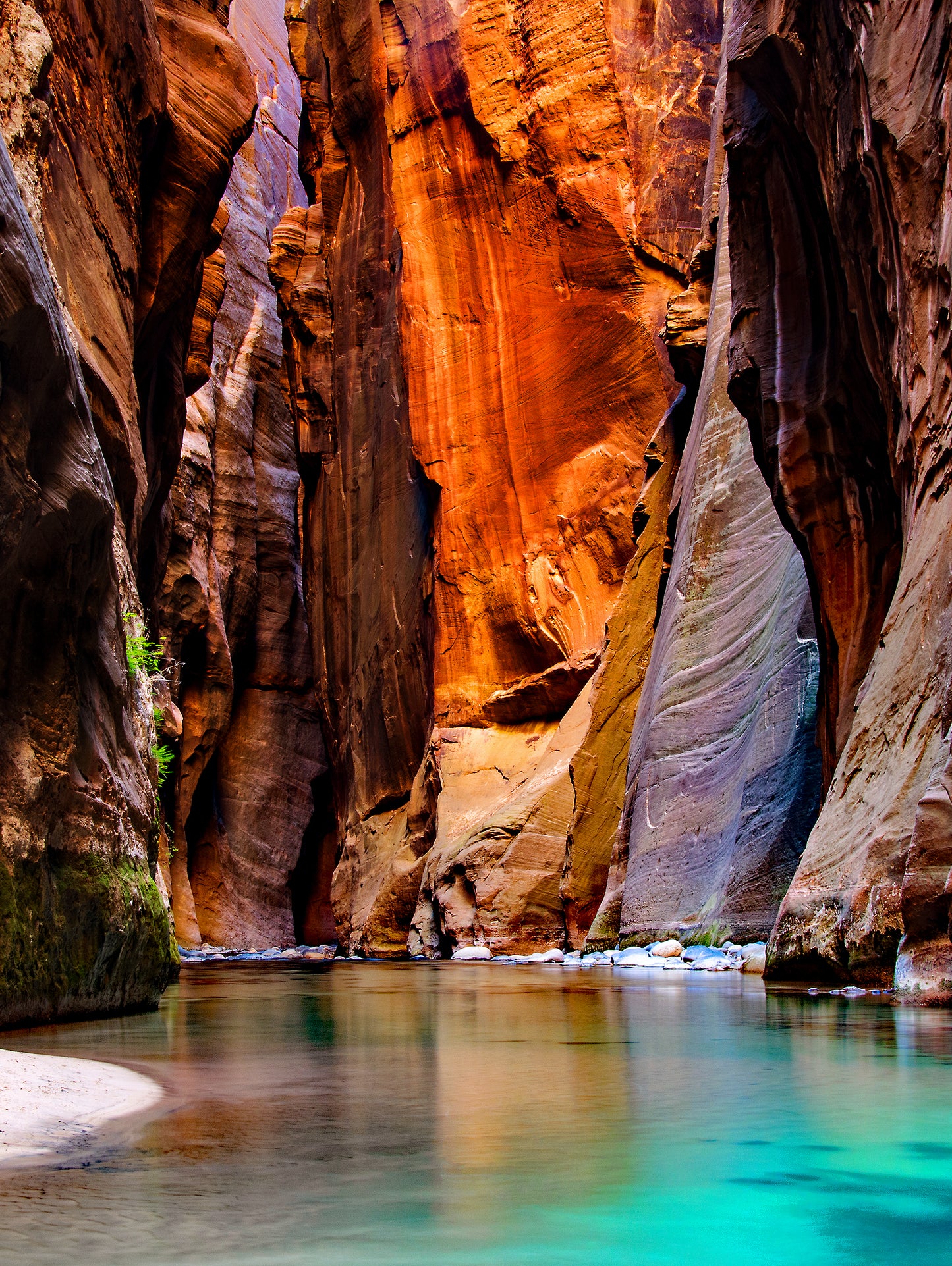 The Narrows Vertical, Zion National Park