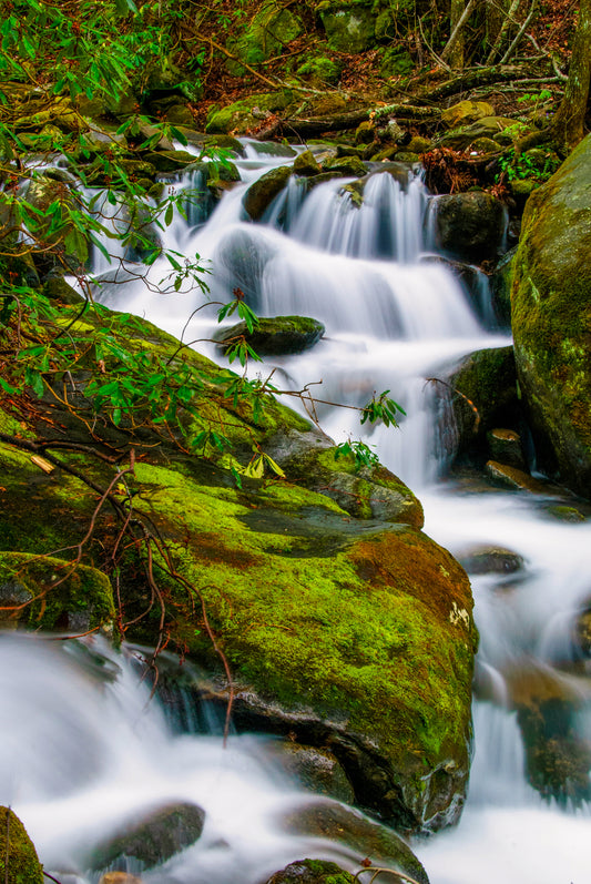 Cascade in the Great Smoky Mountains National Park