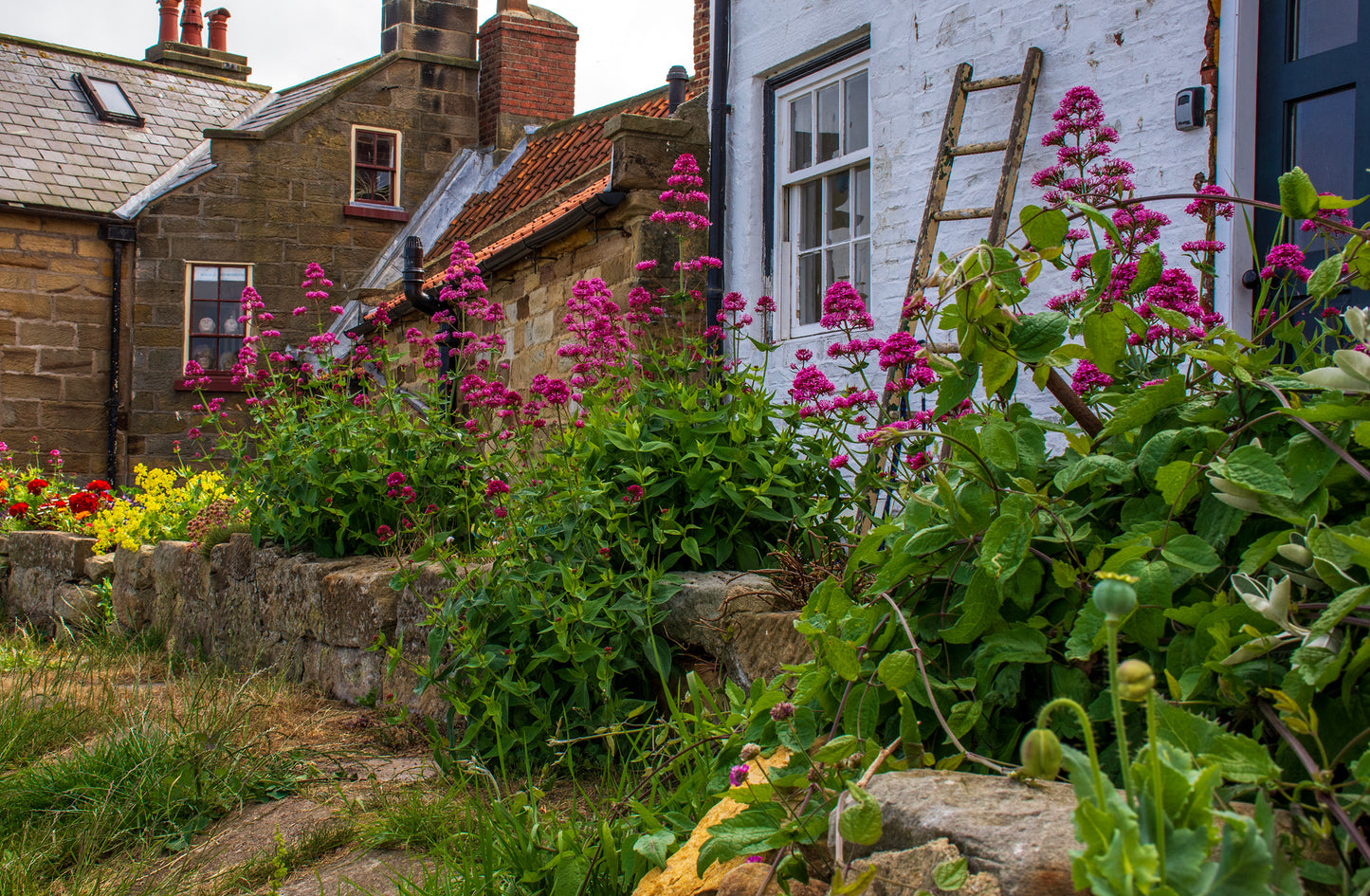 Village of Robinhood Bay, England