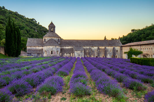 Senanque Abbey, Provence France