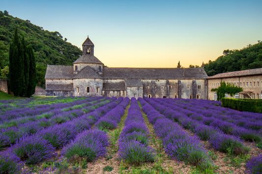 Senanaque Abbey, France