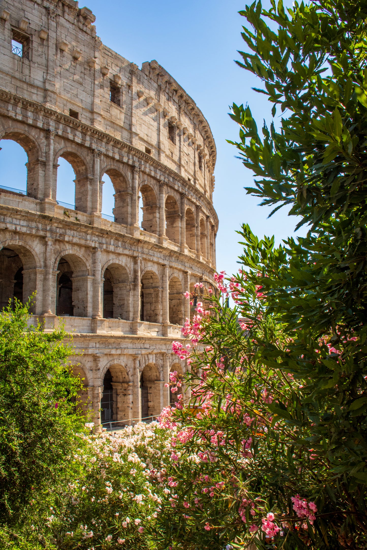 Colosseum with Flowers