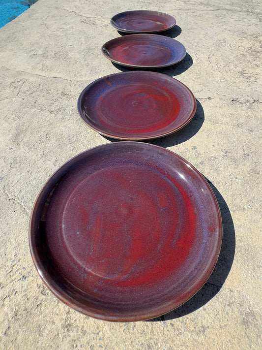 Dinner Plates Set of 4