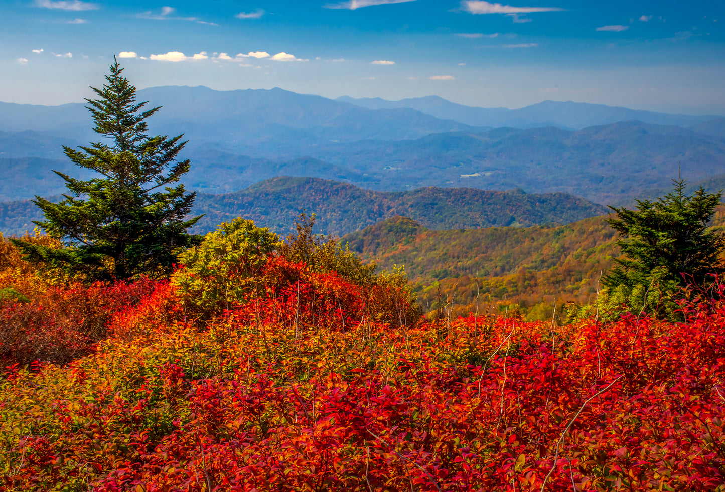 Fall from the Balds, Roan Mountain State Park, Tennessee