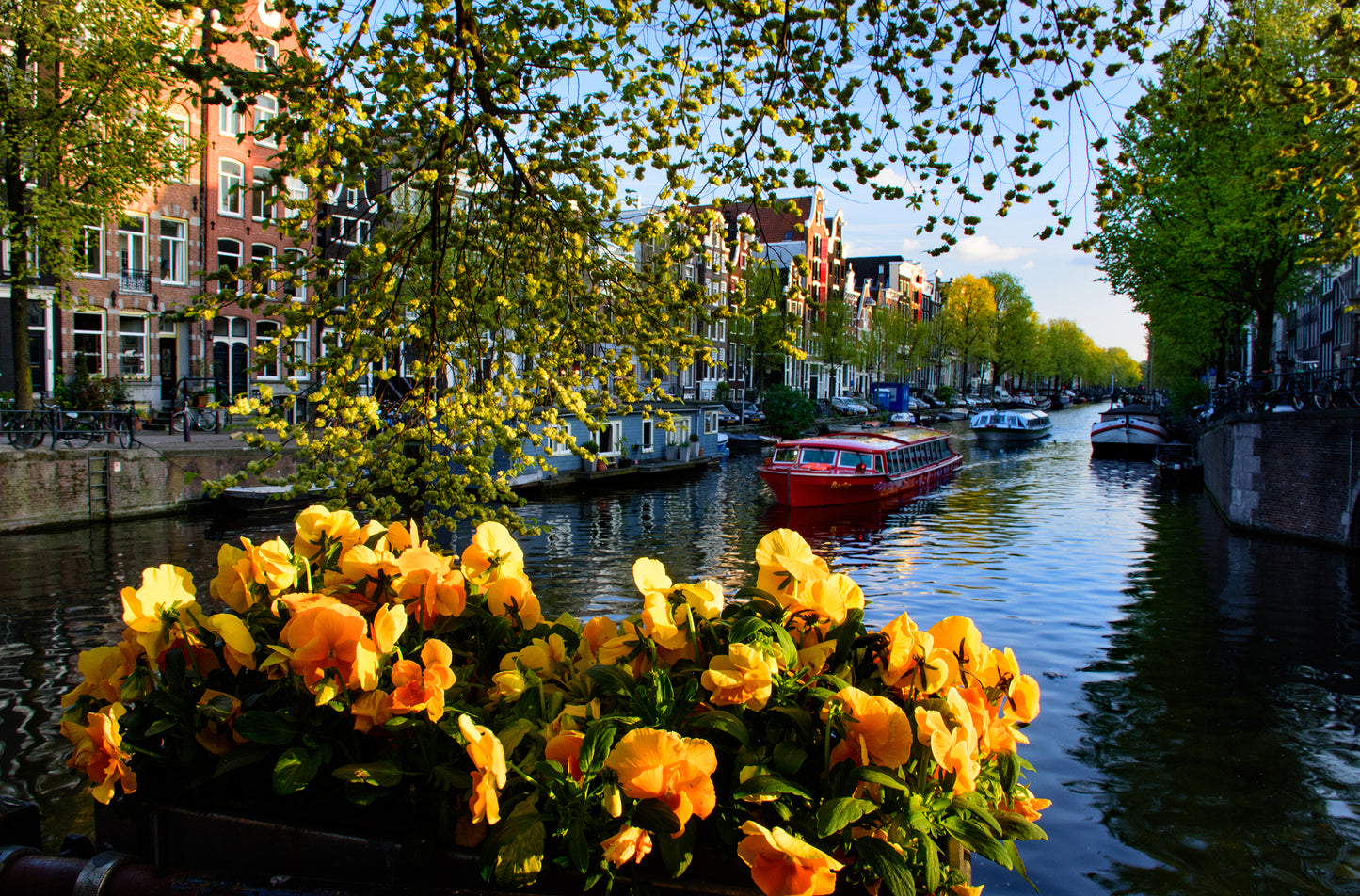Amsterdam Canal, Netherlands