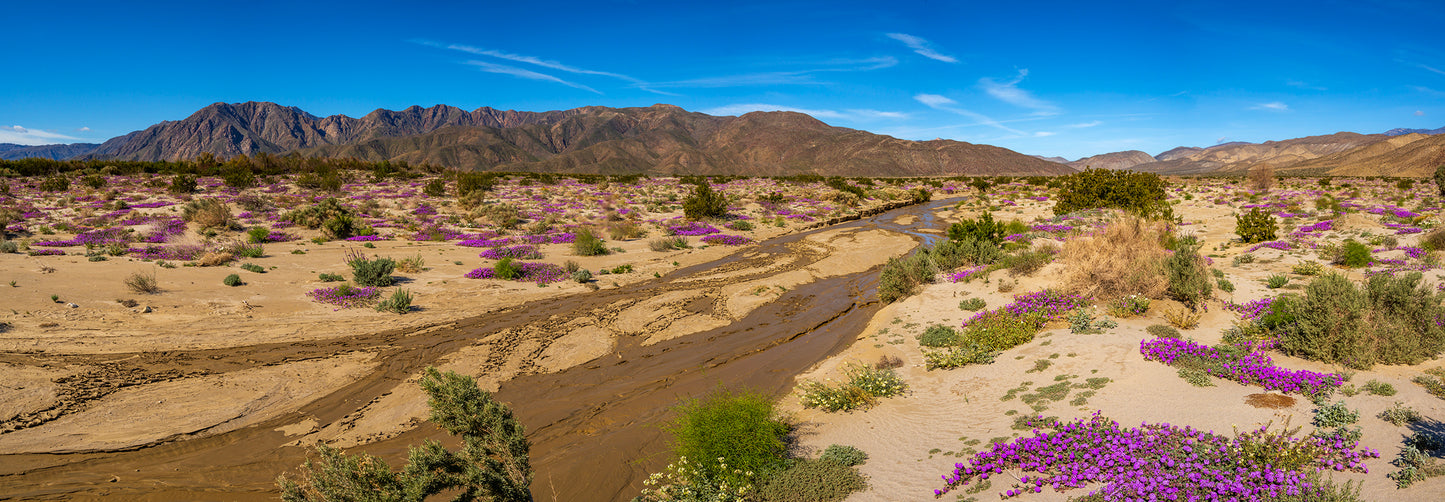 Anza Borrego California