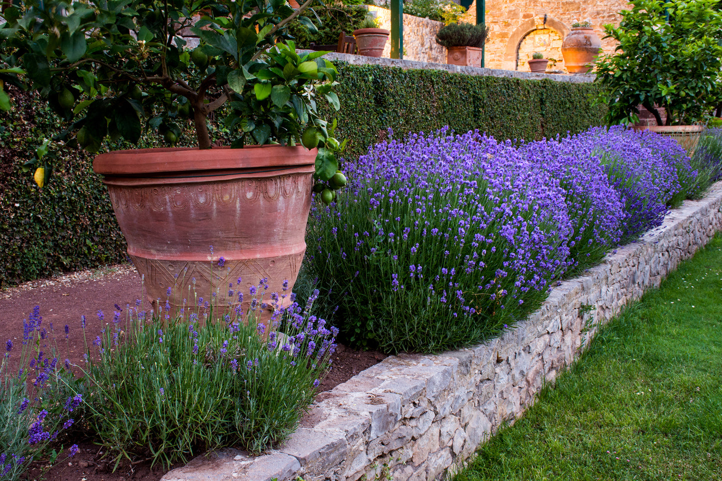 Badia Coultibouno, Tuscany, Italy