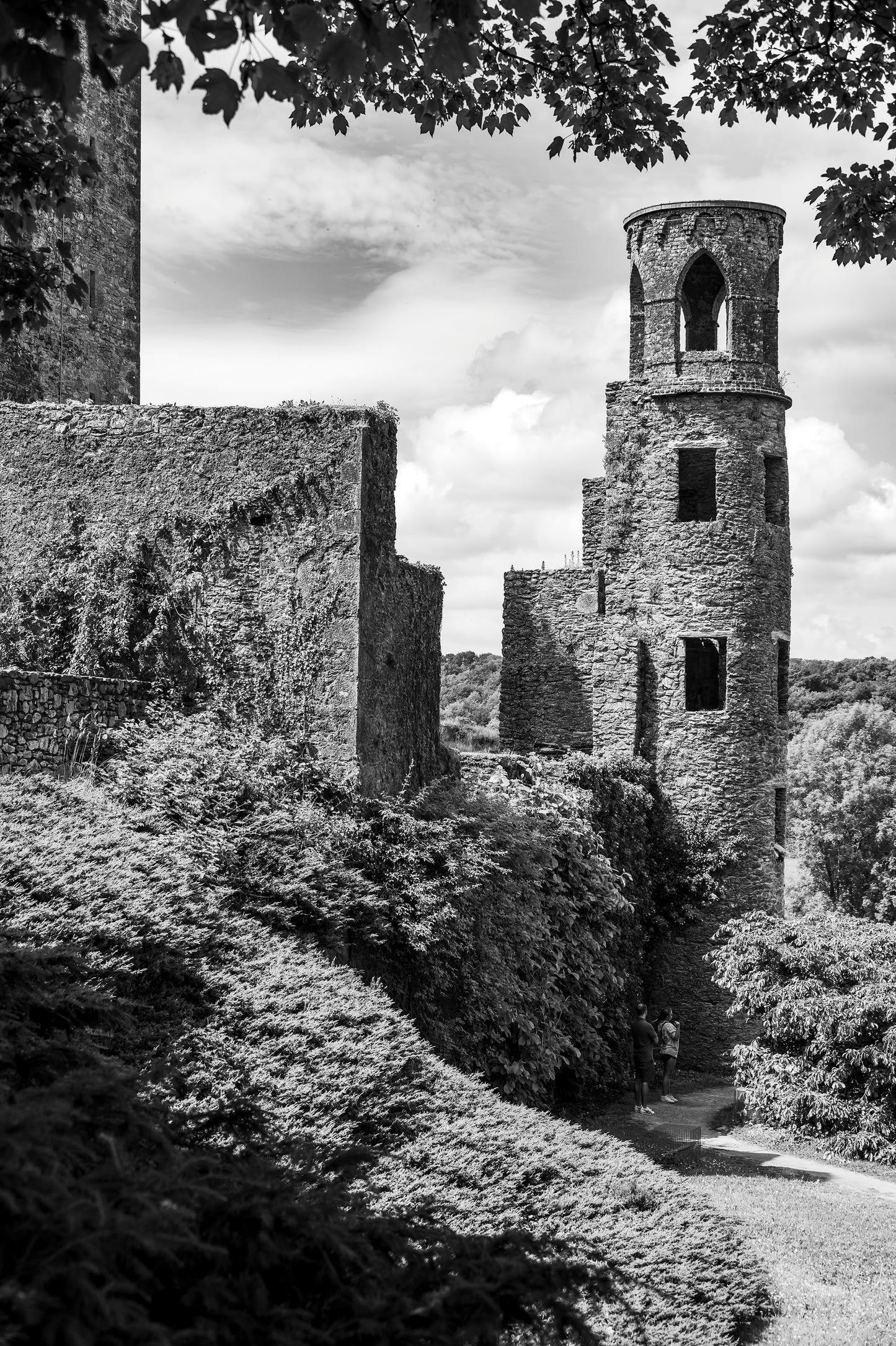 Blarney Castle, Ireland