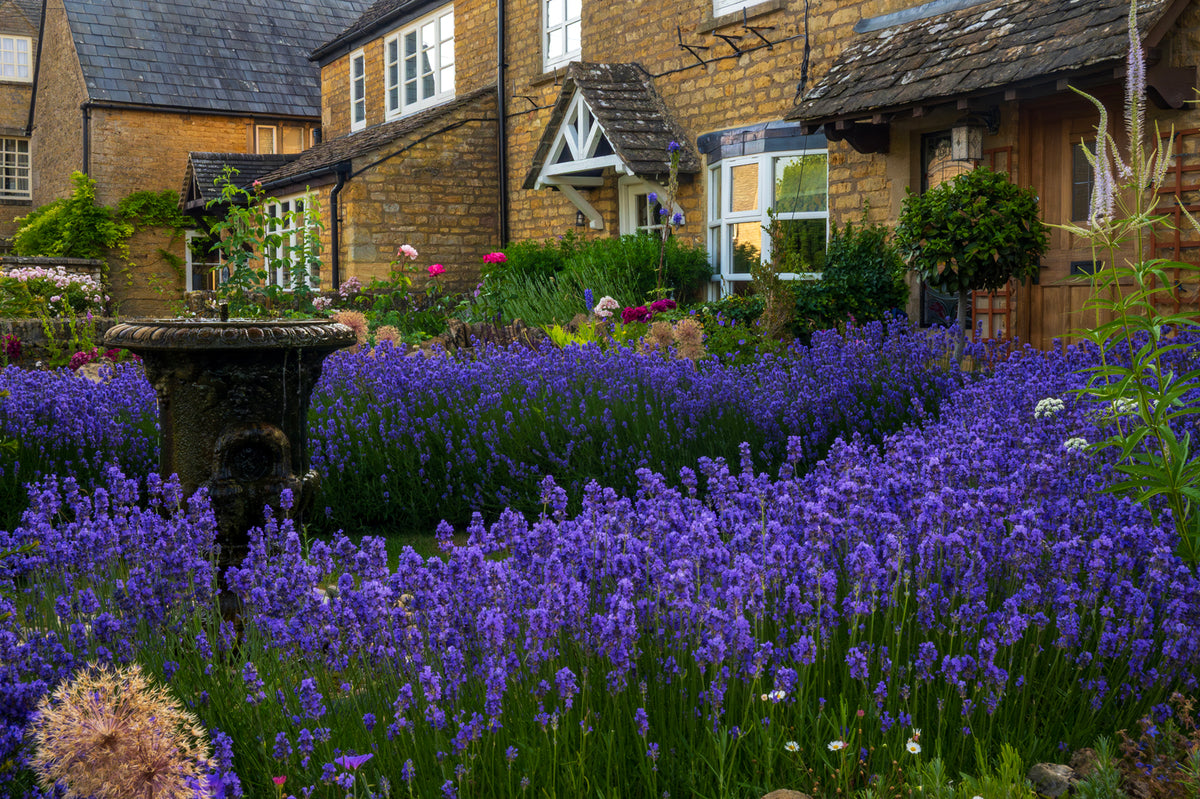 Bourton on the Water, England - Cottages in the Cotswolds
