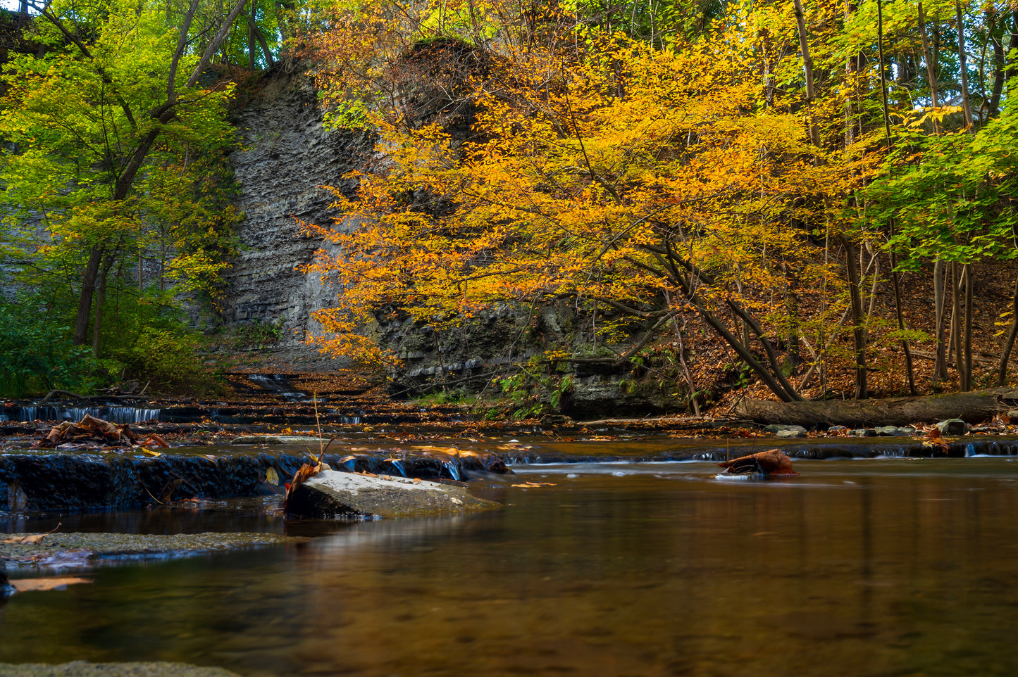 Cascadilla Gorge, Ithaca, New York