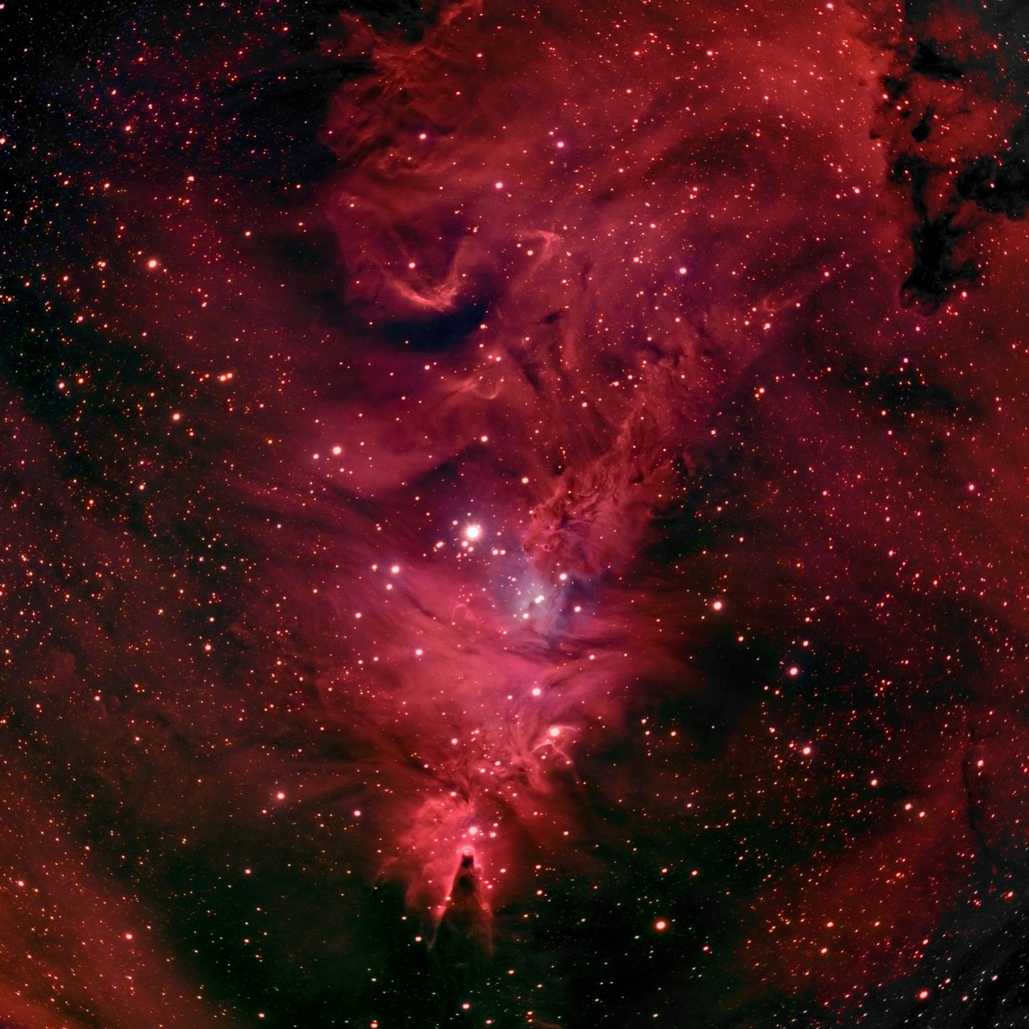 The Cone Nebula