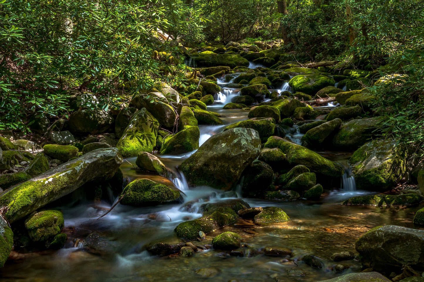 Cosby Creek, Great Smokes National Park