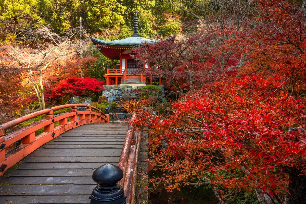 Daigo-ji Temple Autumn, Kyoto
