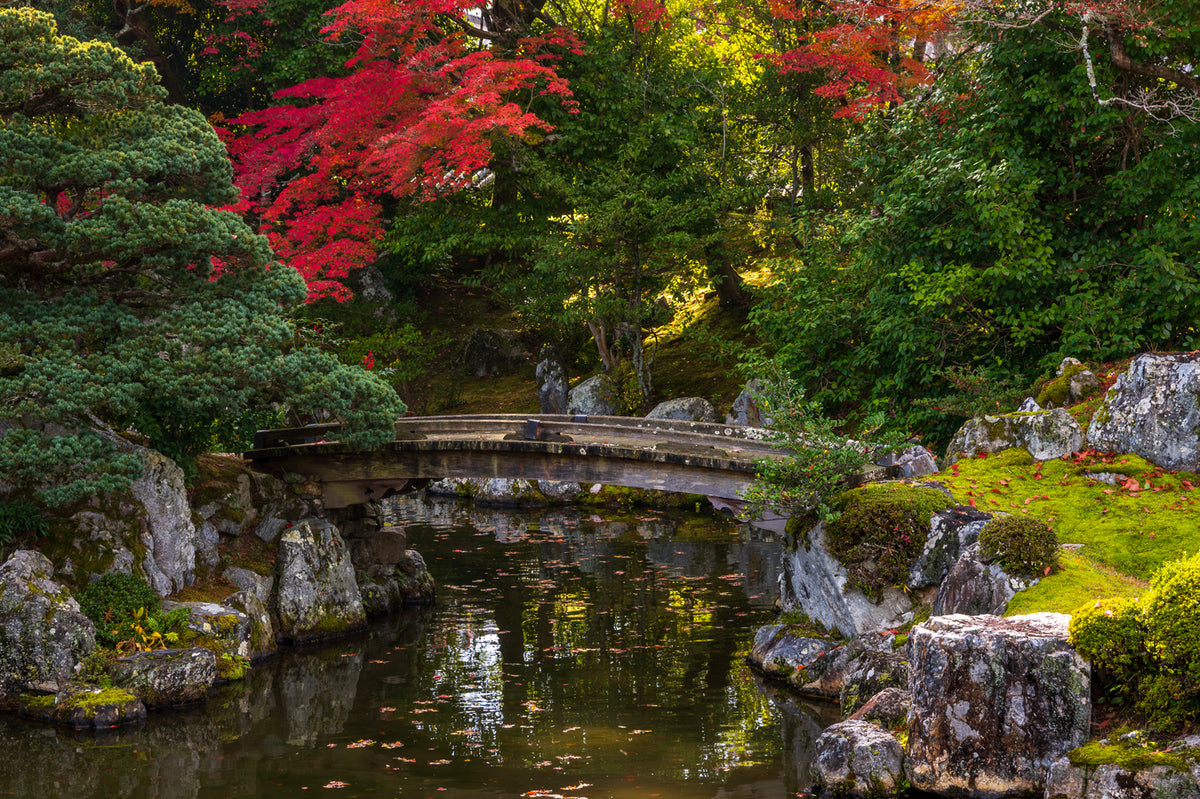 Sambo-in Temple Autumn, Kyoto