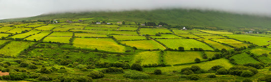 Farms, Dingle, Ireland