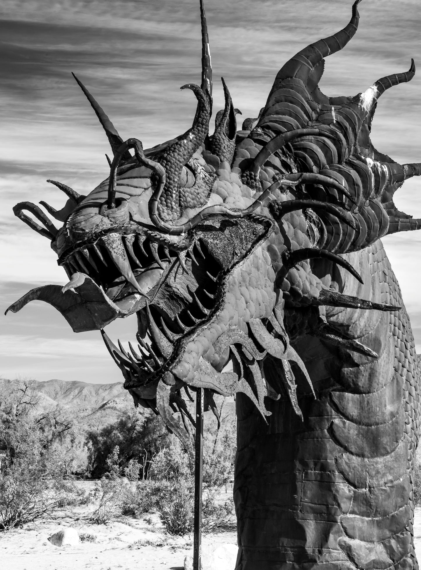 A Dragon near Anza Borrego