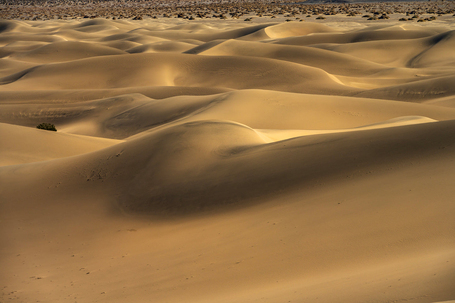 Sand Dunes, Death Valley, California