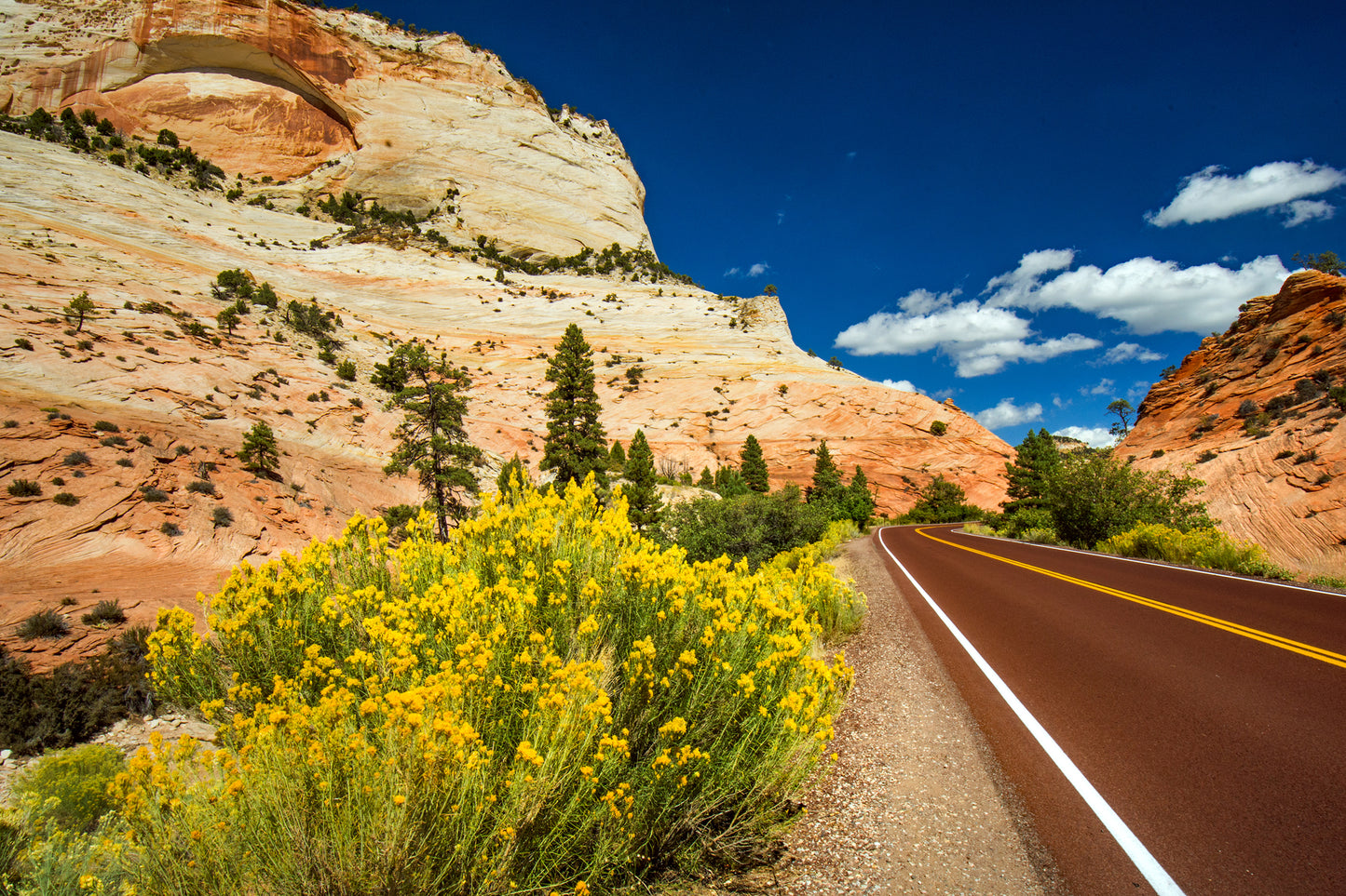 East Zion, Zion National Park