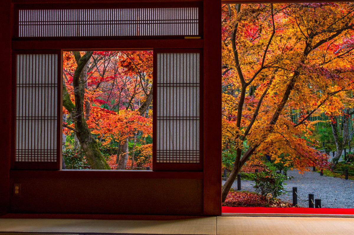 Enko-ji Temple Autumn Foliage, Kyoto