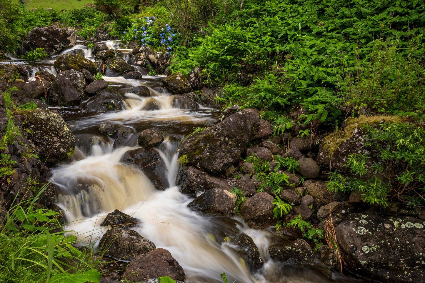 Waterfall, Flores, Azores