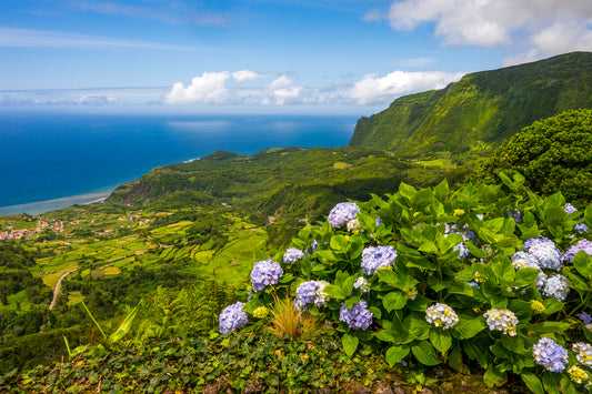 Overlook, Flores, the Azores