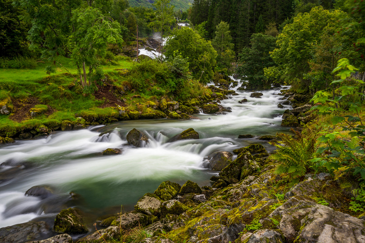 Mossy Forest Waterfall in the town of Hardangr, Norway