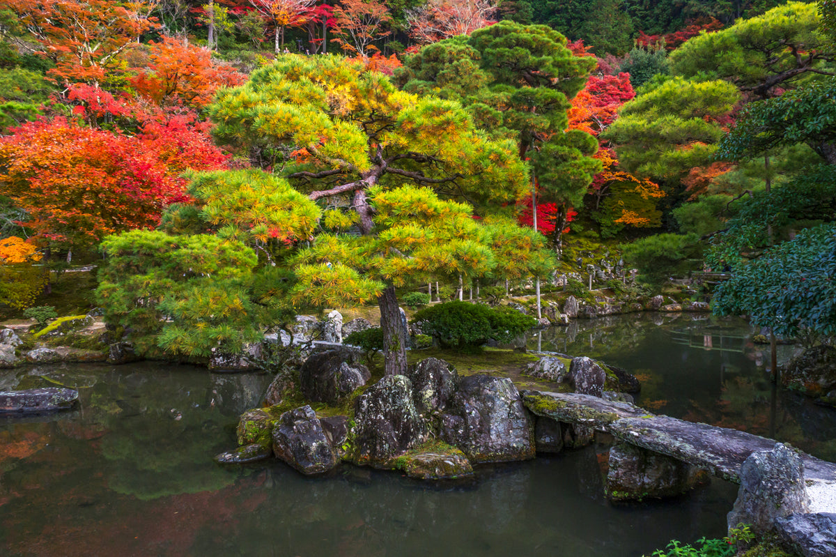 Ginkaku-ji Temple Autumn, Kyoto