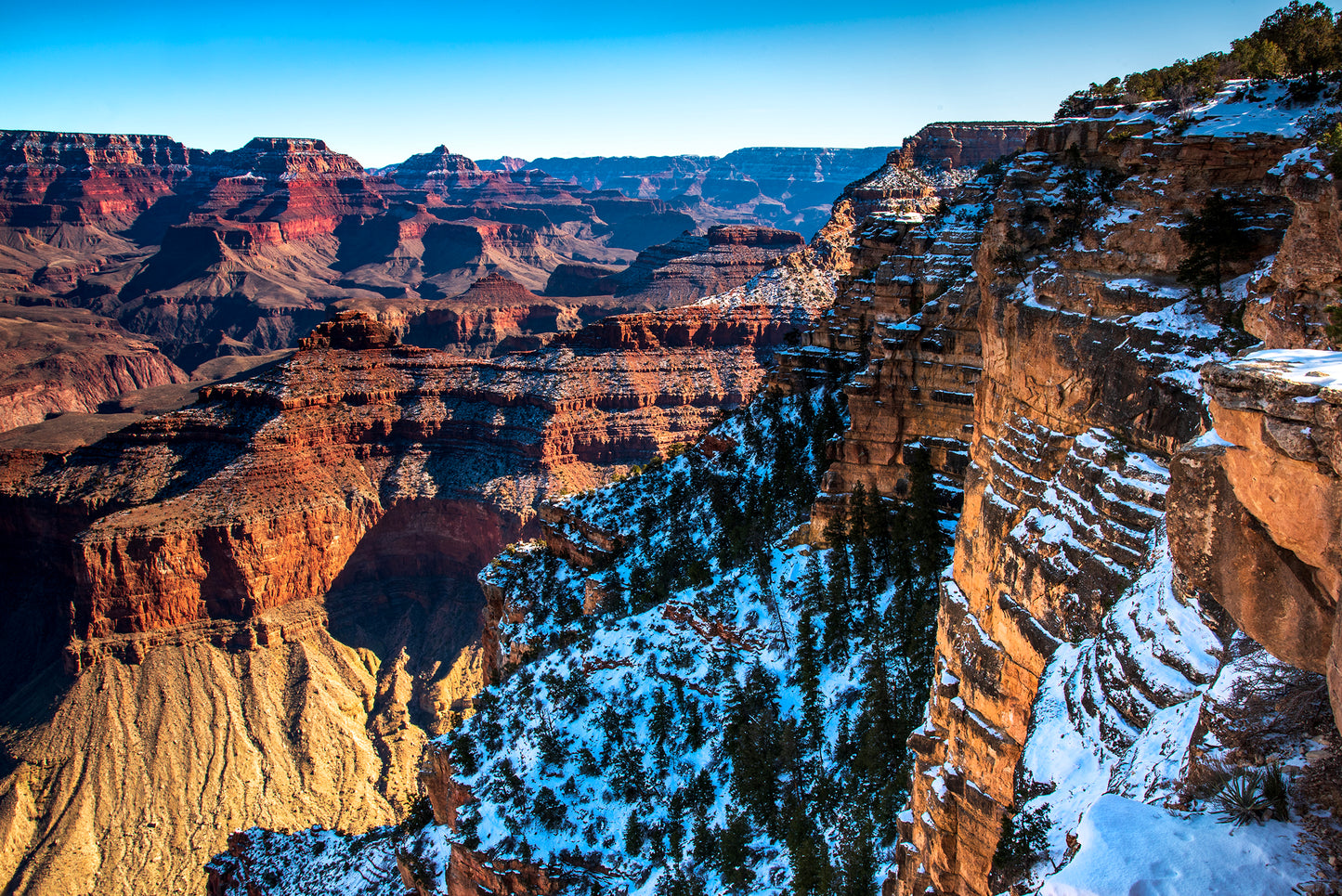 The Grand Canyon National Park