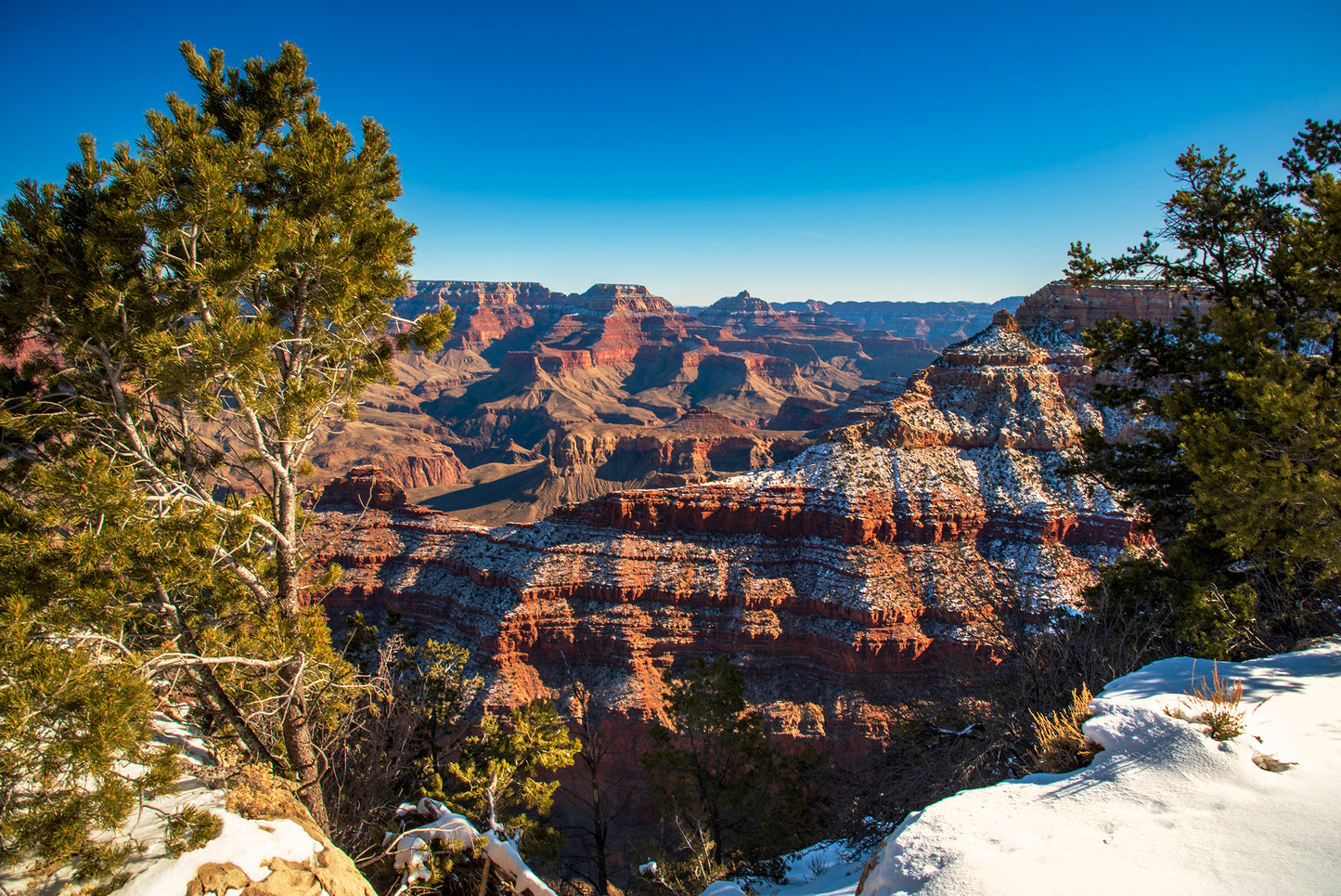 The Grand Canyon National Park