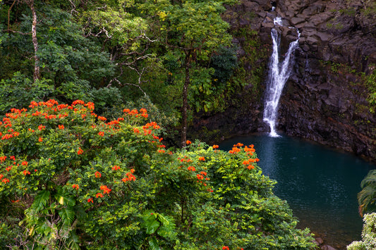 Hana Falls, Maui