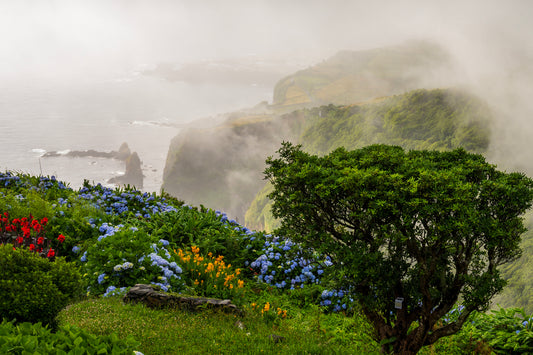 Misty Azores, Flores