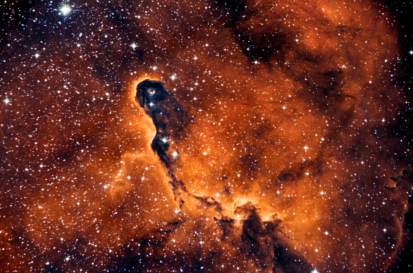 The Elephant Trunk Nebula