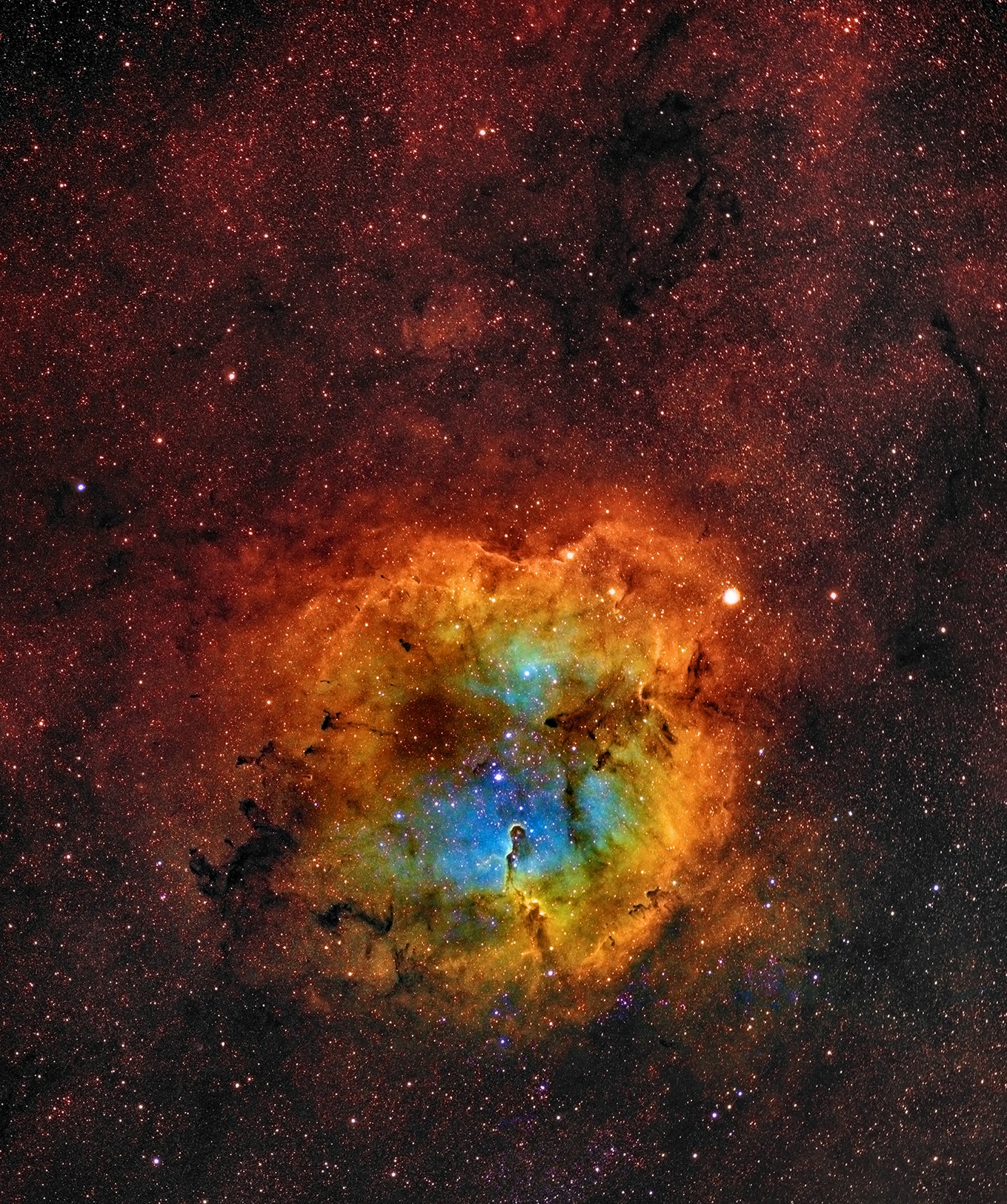 The Elephant Trunk Nebula, Wide Angle