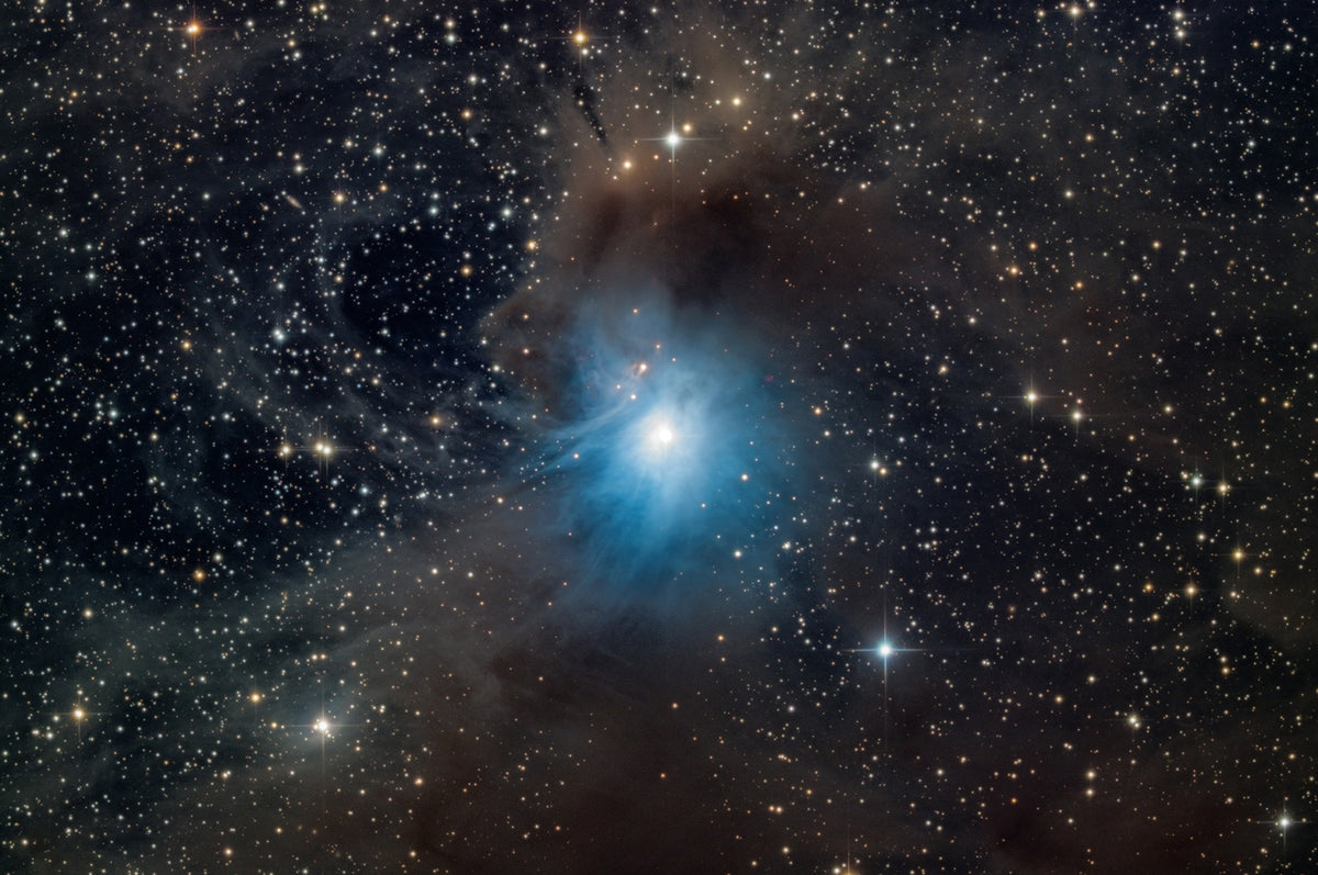 IC 2631
