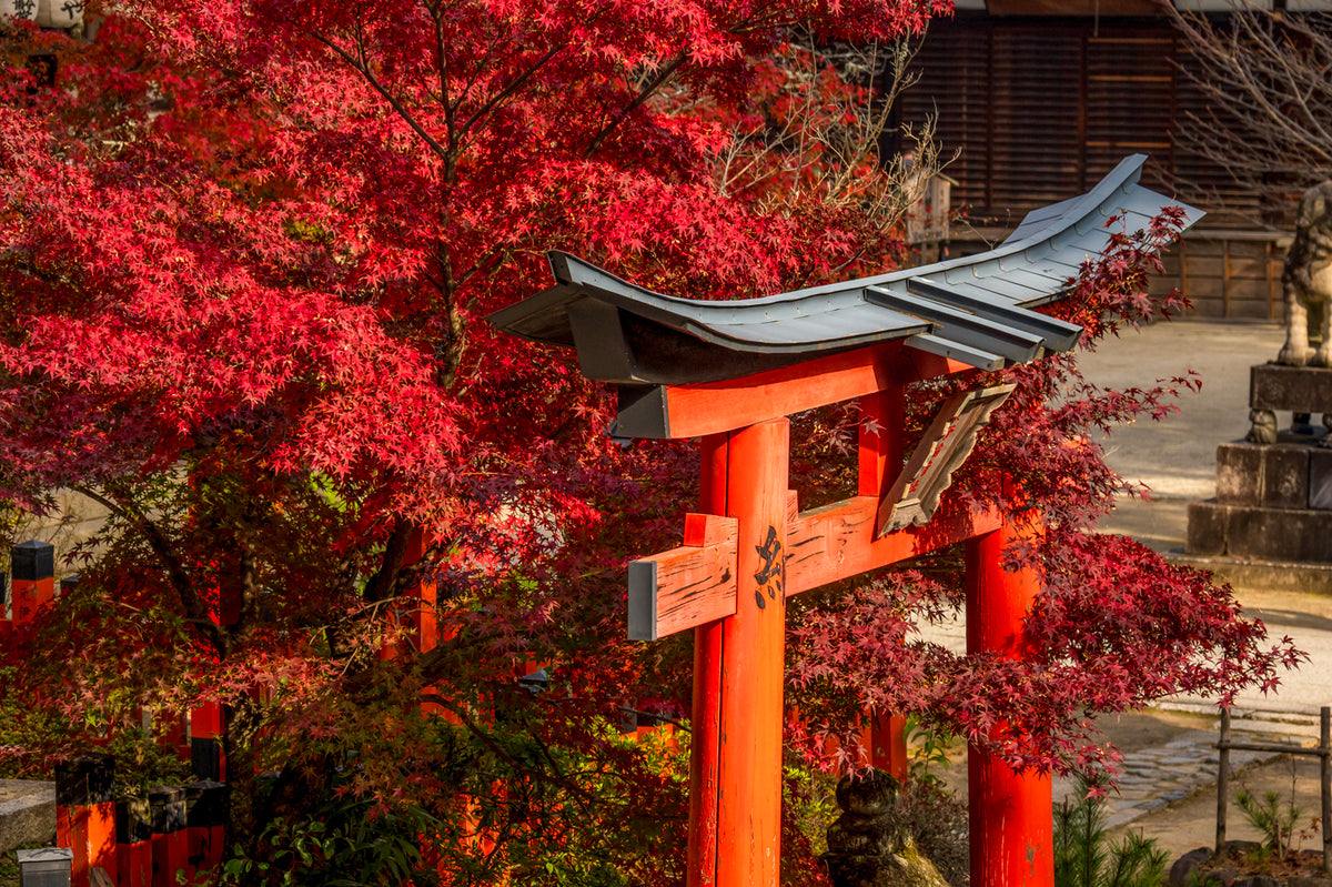 Imamiya jinja Shinto Temple, Kyoto