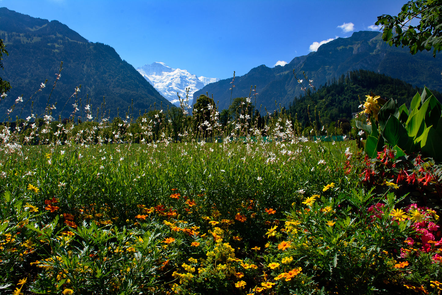 Interlaken, Switzerland