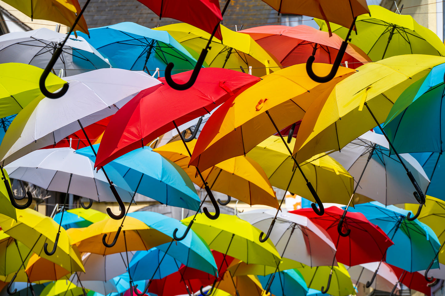 Umbrellas
