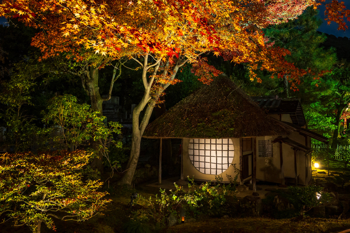 Koda-ji, Illuminated at night, Autumn, Kyoto