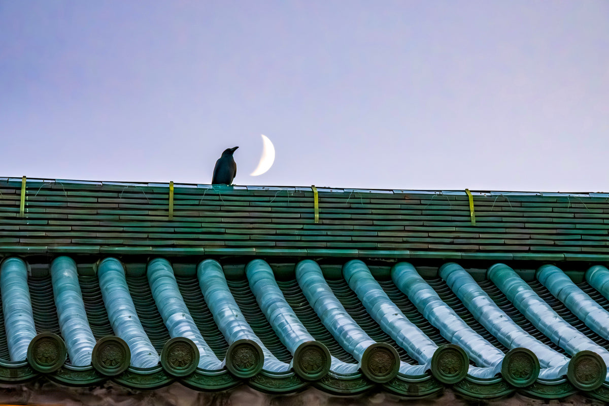 Crow and Moon, Kyoto