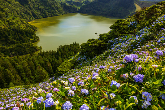 Laguna las Flores, Azores