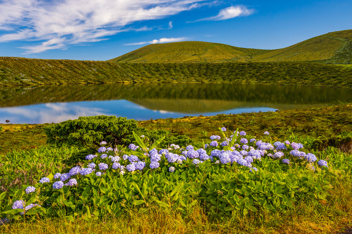 Lagoa Rasa, Flores, Azores