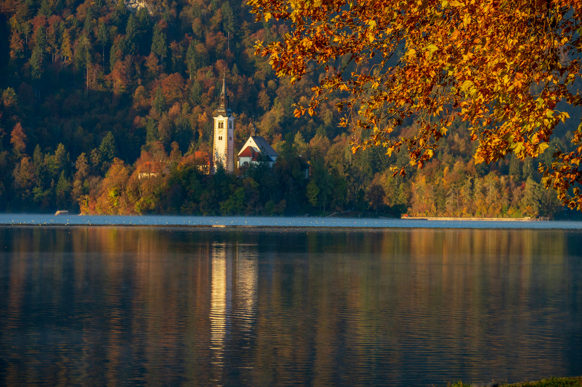 Lake Bled and Church, Autumn Color, Slovenia