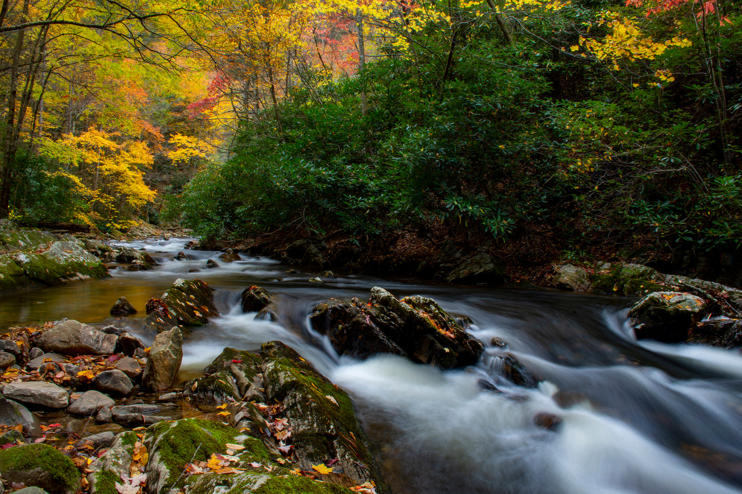 Laurel Creek, Tennessee