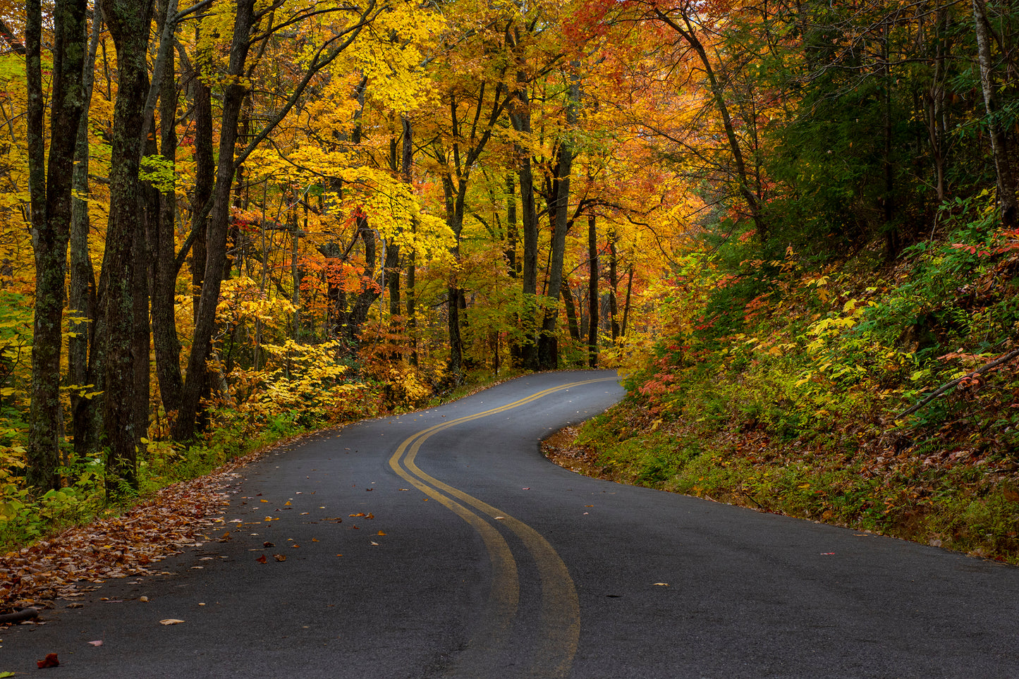 Country Road