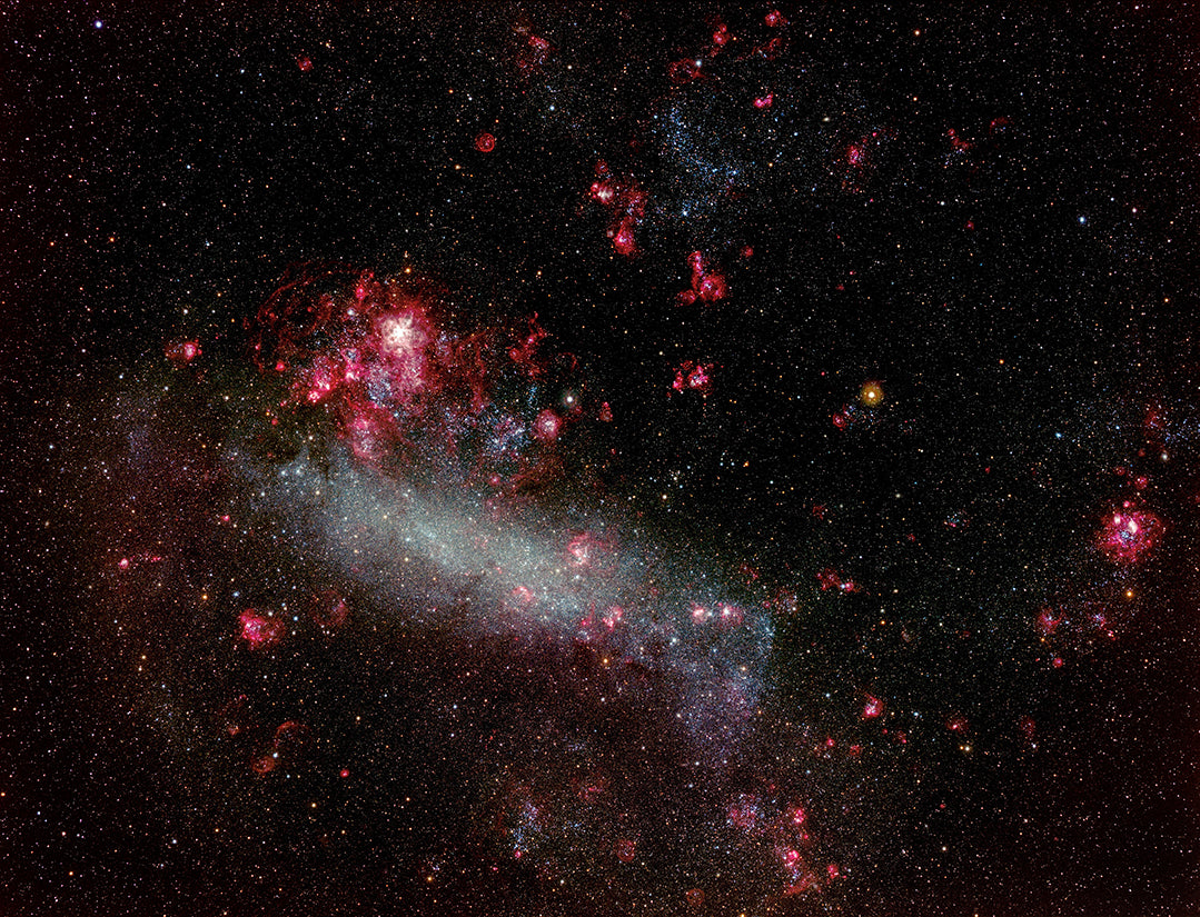 The Large Magellanic Cloud