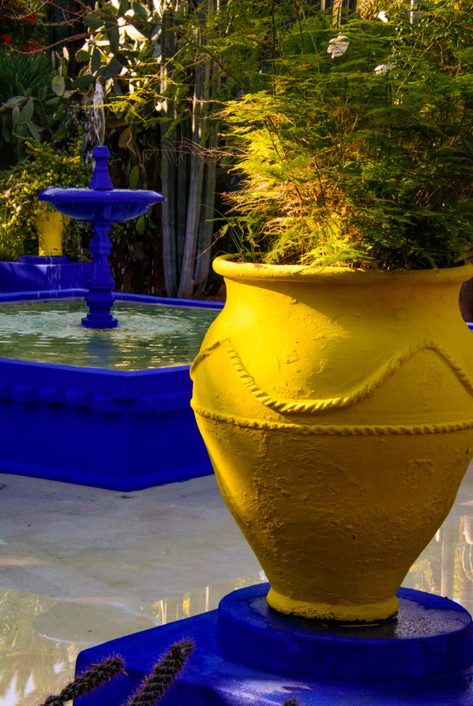 Majorelle Garden, Marrakesh