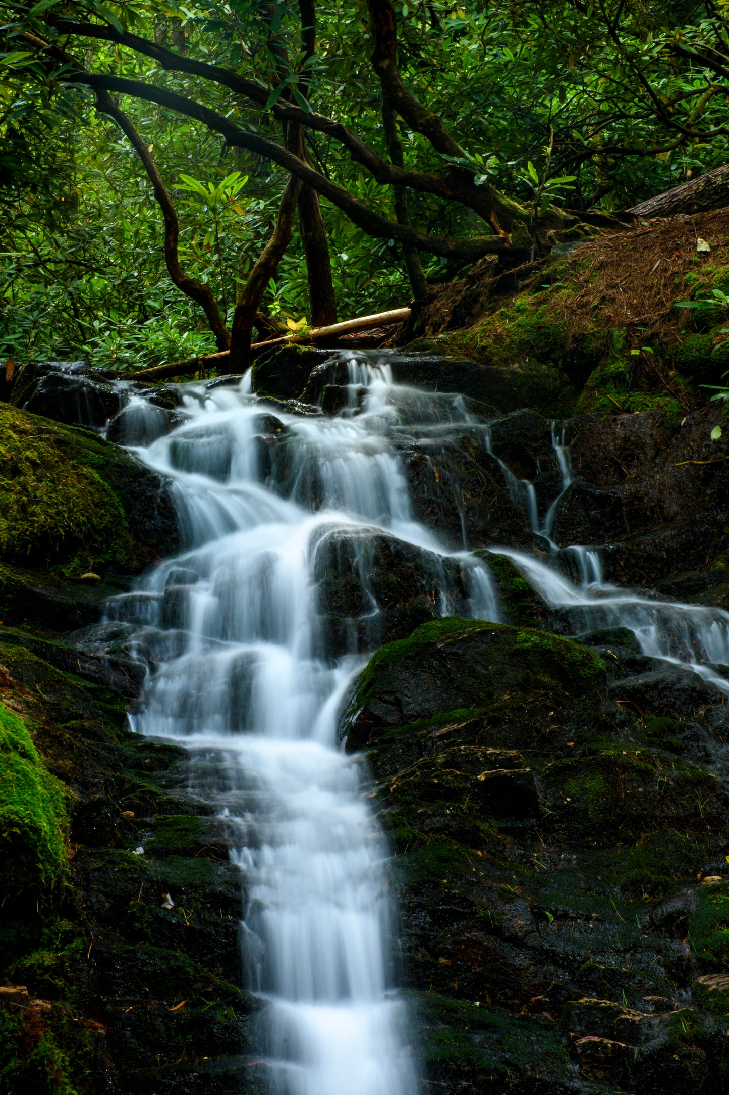 Martin's Creek Falls, Tennessee