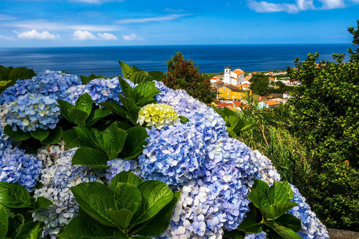 Overlook (Miradour), Sao Miguel, Azores