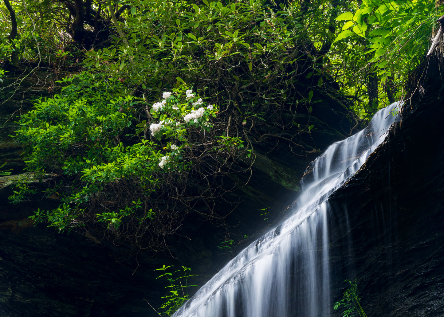 Moore Cove Falls, North Carolina